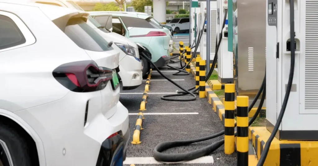 Indian EV industry 2025